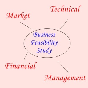 business feasibility study