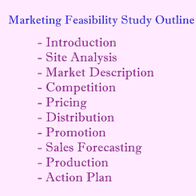 Market Feasibility Study Outline – Proposal: Guidelines And Samples